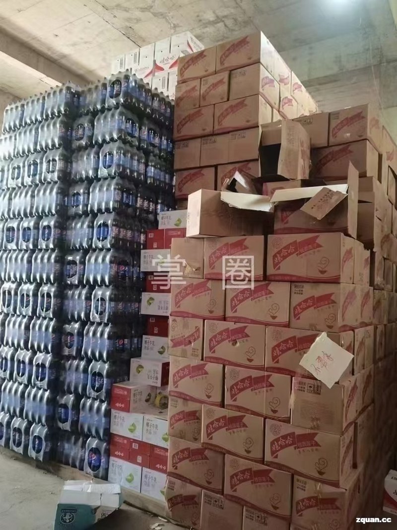 苏州斯旺宝商贸公司的成功之路
